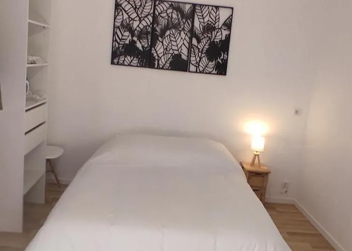 Lumineux Centre Apartment
